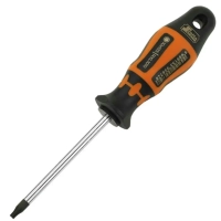 Delikli Torx Tornavida T10 x 80 mm Retta RXT1010
